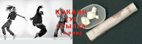 бошки Бронницы